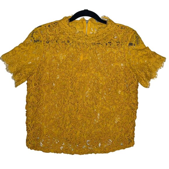 SOLD Zara Mustard Yellow Sheer Lace Short Sleeve Blouse Top SZ Medium - Picture 4 of 9